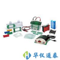 美國伯樂Bio-Rad 1658033垂直電泳轉(zhuǎn)印系統(tǒng)套裝