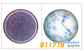 法國interscience Scan 300全自動(dòng)菌落計(jì)數(shù)器1.png